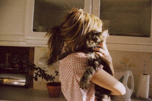 cat-cute-hug-kitchen-kitten-Favim.com-192444_large